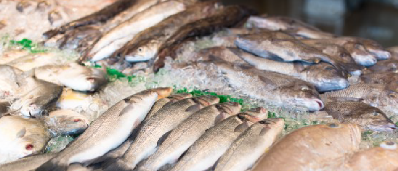 Expositor pescado para pescaderia